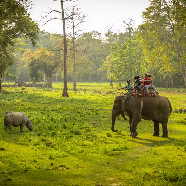 Chitwan National Park